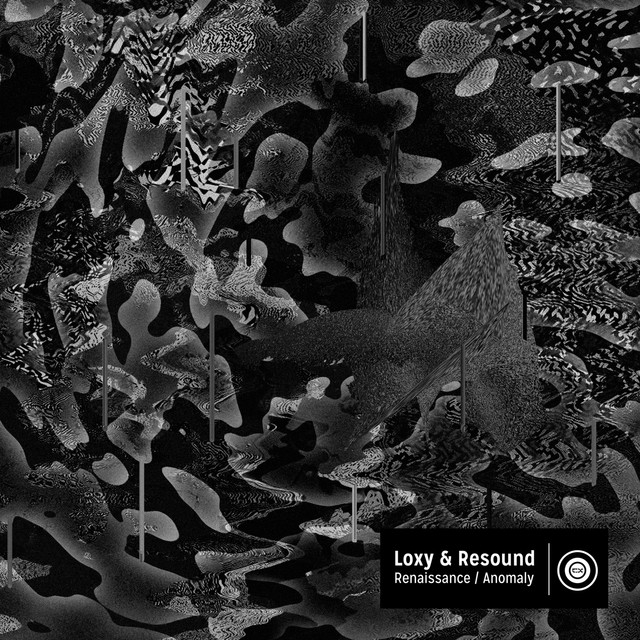 Loxy Photo