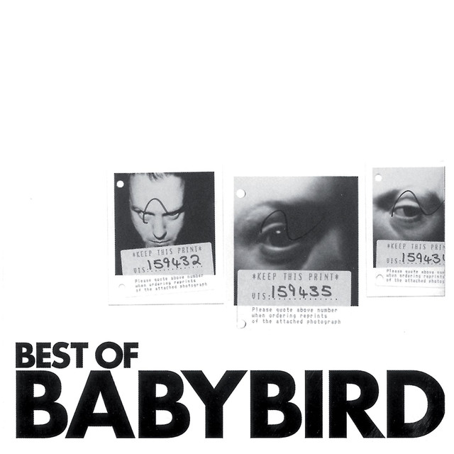Best Of Babybird cover