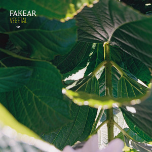 Vegetal album