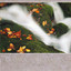 Classics for Relaxation Albumcover