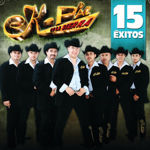 15 Éxitos album