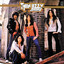 Fighting cover