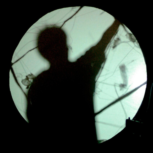 The Lampshades Photo
