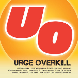 Icon cover