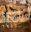 Music Of Vangelis Albumcover