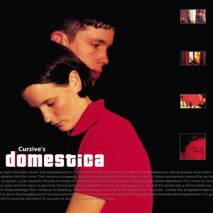 Domestica album