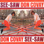 See-Saw cover