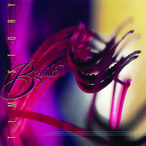 Beguiled cover
