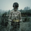 Kings cover