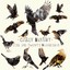 Four and Twenty Blackbirds Albumcover