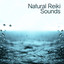 Natural Reiki Sounds Albumcover
