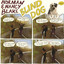 Blind Dog cover