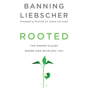 Rooted - The Hidden Places Where God Develops You