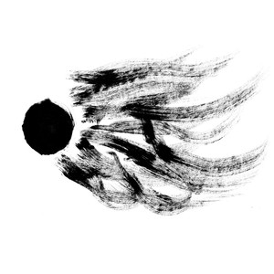 Dissidentova cover