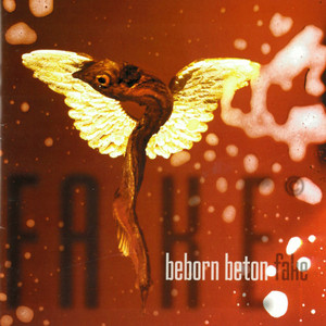 Fake cover