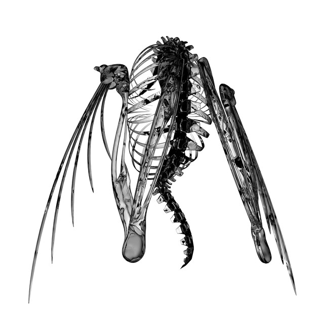 Heterocetera cover