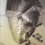 Chamara Albumcover