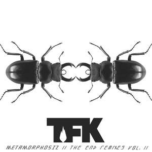 Metamorphosiz: The End Remixes, Vol. 2 cover