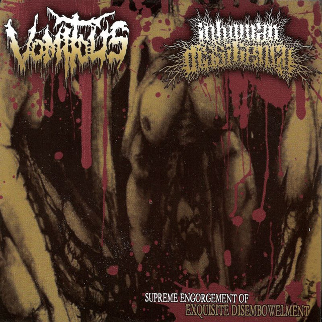 Inhuman Dissiliency Photo