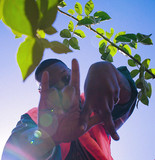 The Last Artful, Dodgr profile