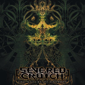 Precursor to Entropy cover