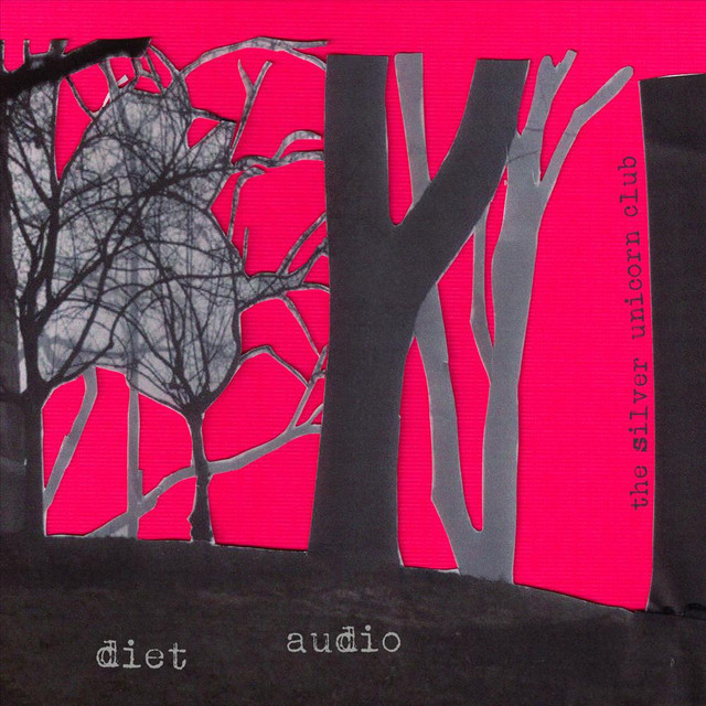 Diet Audio Photo