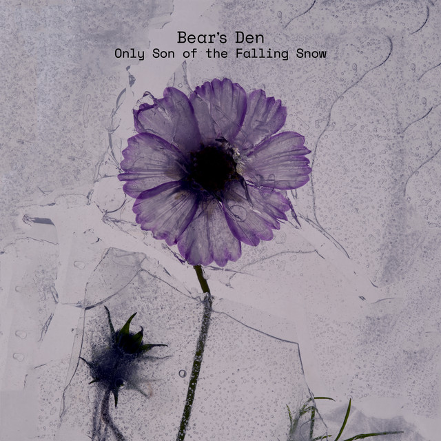 Only Son Of The Falling Snow cover