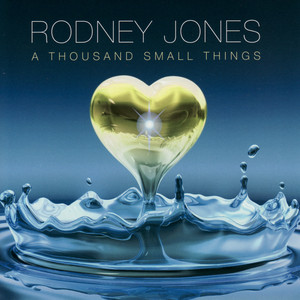 A Thousand Small Things cover