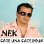 Cate Una Cate Doua Albumcover