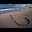 Love in the Sand Albumcover