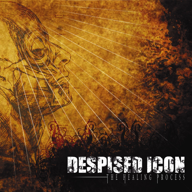 The Healing Process cover