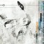 ...Three Distances - Irregular Signs... Albumcover