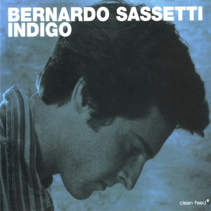 Indigo cover