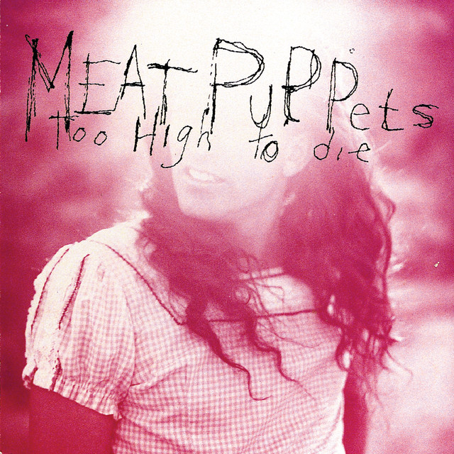 Too High To Die cover