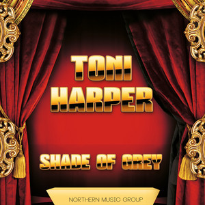 Shade of Grey Albumcover