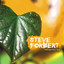 Evergreen Boy cover