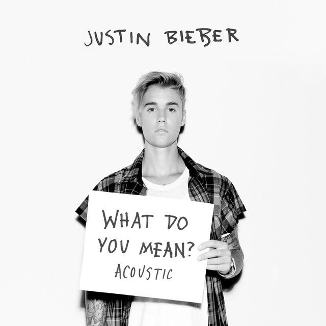 What Do You Mean? (Acoustic Version) by Justin Bieber on ...