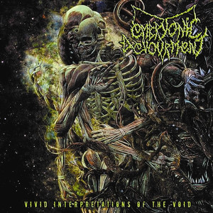 Vivid Interpretations of the Void cover