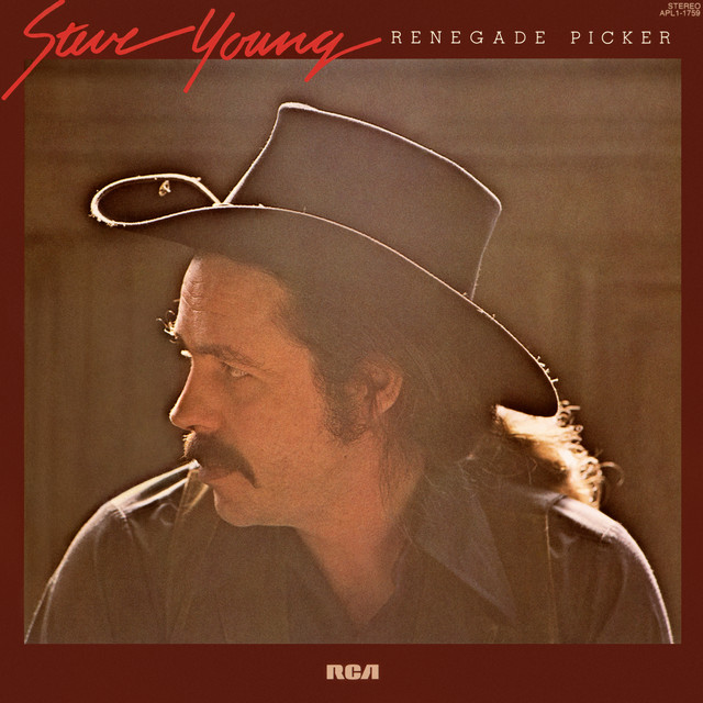 Renegade Picker cover