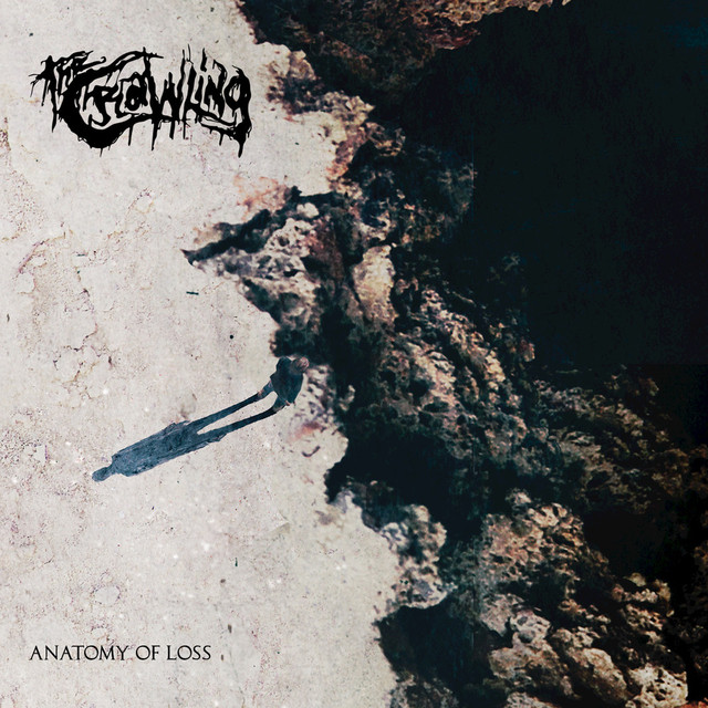 Anatomy Of Loss cover