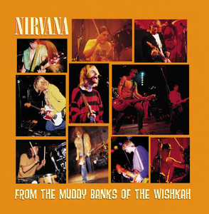 From The Muddy Banks Of The Wishkah album