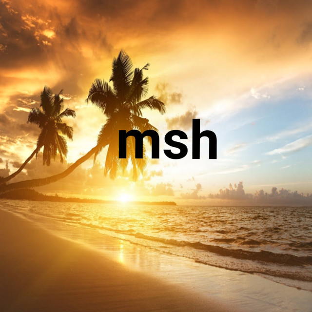 MSH Photo