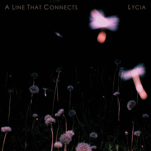 A Line That Connects cover
