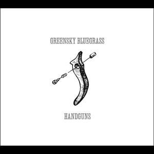 Handguns cover