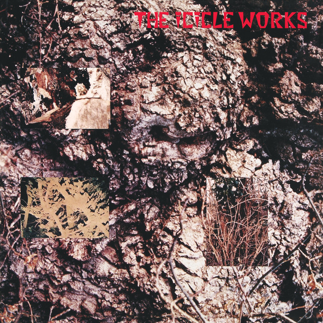 The Icicle Works (de-luxe) cover