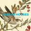 Safe As Houses