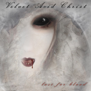 Ghost in the Circuit cover
