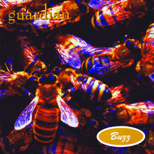 Buzz cover