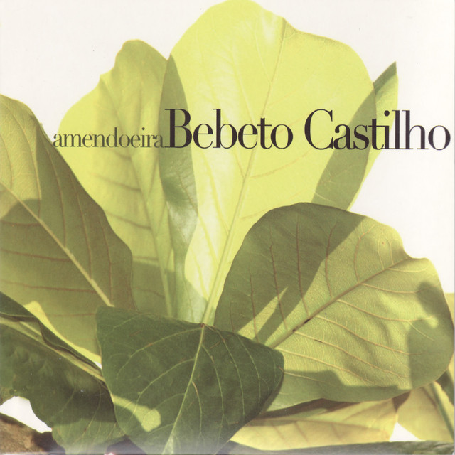 Bebeto Castilho Photo