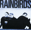 Rainbirds cover